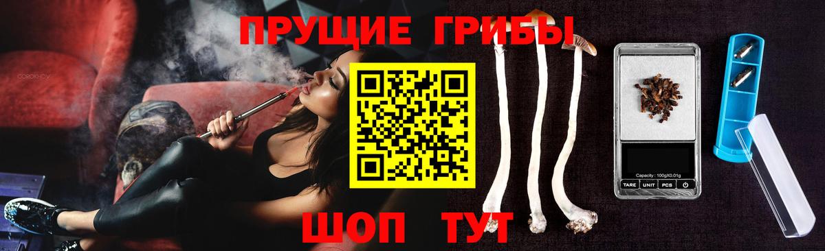Пугачёв  продажа наркотиков  Вход с VPN  Псилоцибиновые грибы Magic Shrooms  Псилоцибиновые грибы ЛСД 